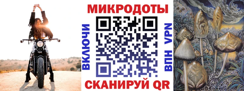 Псилоцибиновые грибы ЛСД хочу наркоту даркнет телеграм Каргат